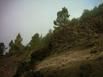 Imagen 030.gif