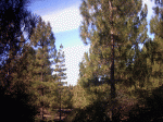 Imagen 037.gif