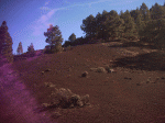 Imagen 045.gif
