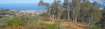 DSCN1746.JPG