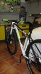 cannondale1.JPG