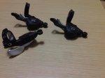 IMG00272-20120111-0904.jpg