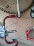 2012-01-11 10.41.17.jpg