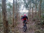 08012012113 (Copiar).jpg