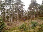 08012012119 (Copiar).jpg