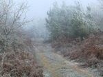 coccido frio 003_1.jpg