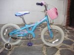 bici schwinn 1.JPG