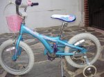 bici schwinn 2.JPG
