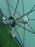 IMG-20120111-WA0004.jpg