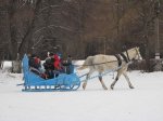 IMG_4732.jpg