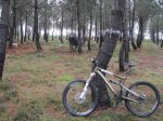 navidad muros 2011 567.jpg