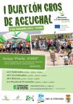 CartelAceuchal1-630x891.jpg