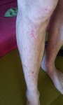 20120111_141756.jpg