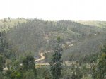 CIMG0248.JPG