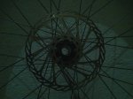 IMG580.jpg