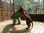 DSC00188.JPG
