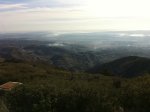 Pantano crevillente.jpg