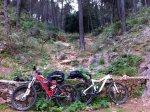 IMG-20120112-WA0008 (Copiar).jpg