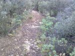 120120123965_1024x768.jpg