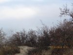 IMG_1308  (08).JPG