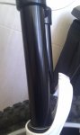 IMAG0247.jpg