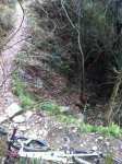 IMG_0378.JPG