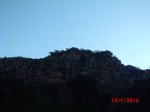 CIMG0905.jpg