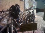 IMG00139-20120114-1306.jpg