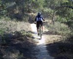 IMG_20120114_115837e.JPG