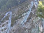 IMG_3661.JPG