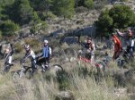 IMG_3695.JPG