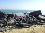 20120114_133342.jpg