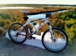 bici.jpg