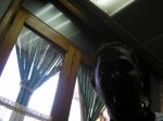 P1016730.JPG