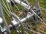 DSC00207.JPG