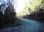DSC00113.JPG