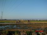 CIMG0959 (Copiar).jpg