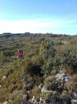 Imagen0821.jpg