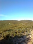 Imagen0822.jpg