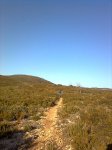 Imagen0823.jpg