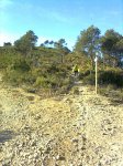 Imagen0831.jpg