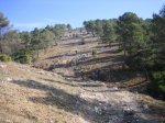 IMG_3716.jpg