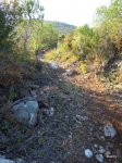 DSCN1158.JPG