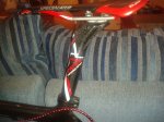 IMG-20120115-WA0000.jpg