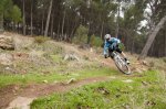 Gus_6 (Copiar).jpg