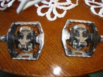 dsc01021d.jpg
