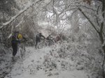 Ruta Asturcona por el Naranco 270106 (23) (Medium).JPG