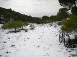 DSCN3771.JPG