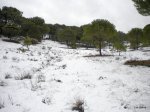 DSCN3772-1.JPG