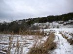 DSCN3802.JPG
